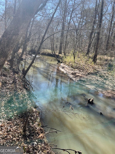 3312 Hunts Chapel Road Sparta, GA 31087 - Photo 21 of 147