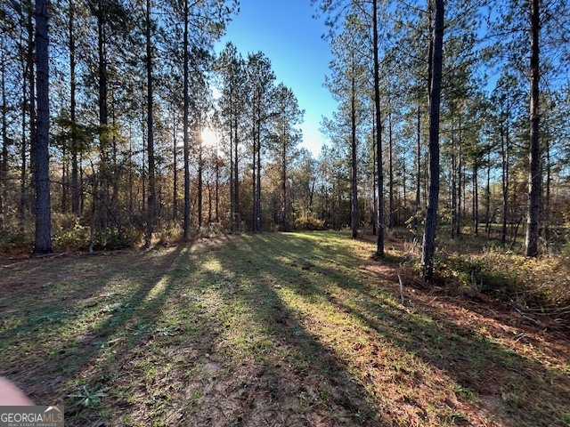 3312 Hunts Chapel Road Sparta, GA 31087 - Photo 22 of 147