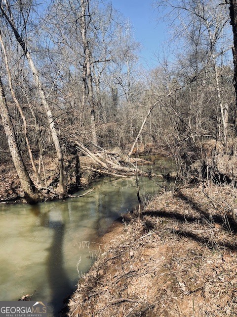 3312 Hunts Chapel Road Sparta, GA 31087 - Photo 23 of 147