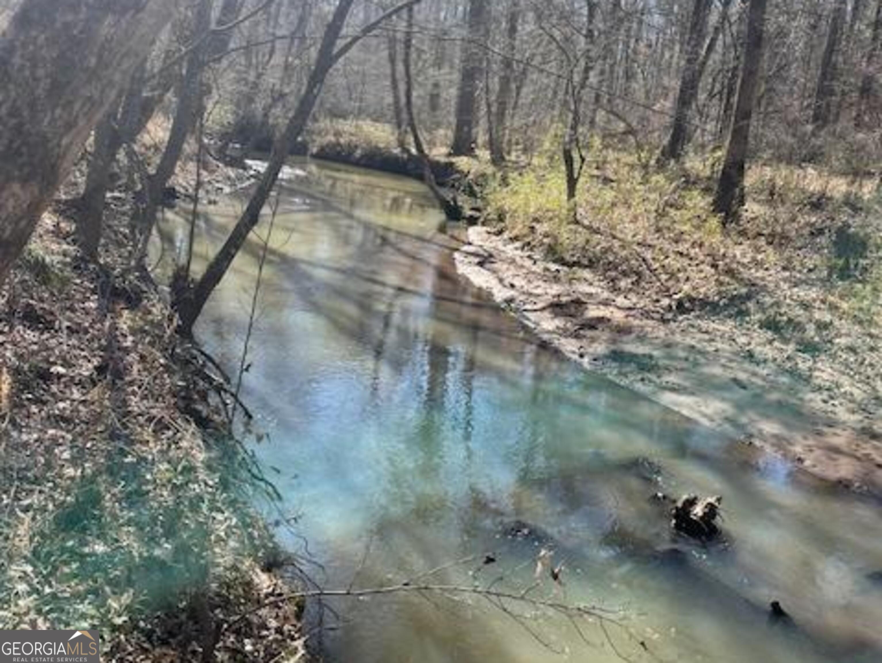 3312 Hunts Chapel Road Sparta, GA 31087 - Photo 24 of 147