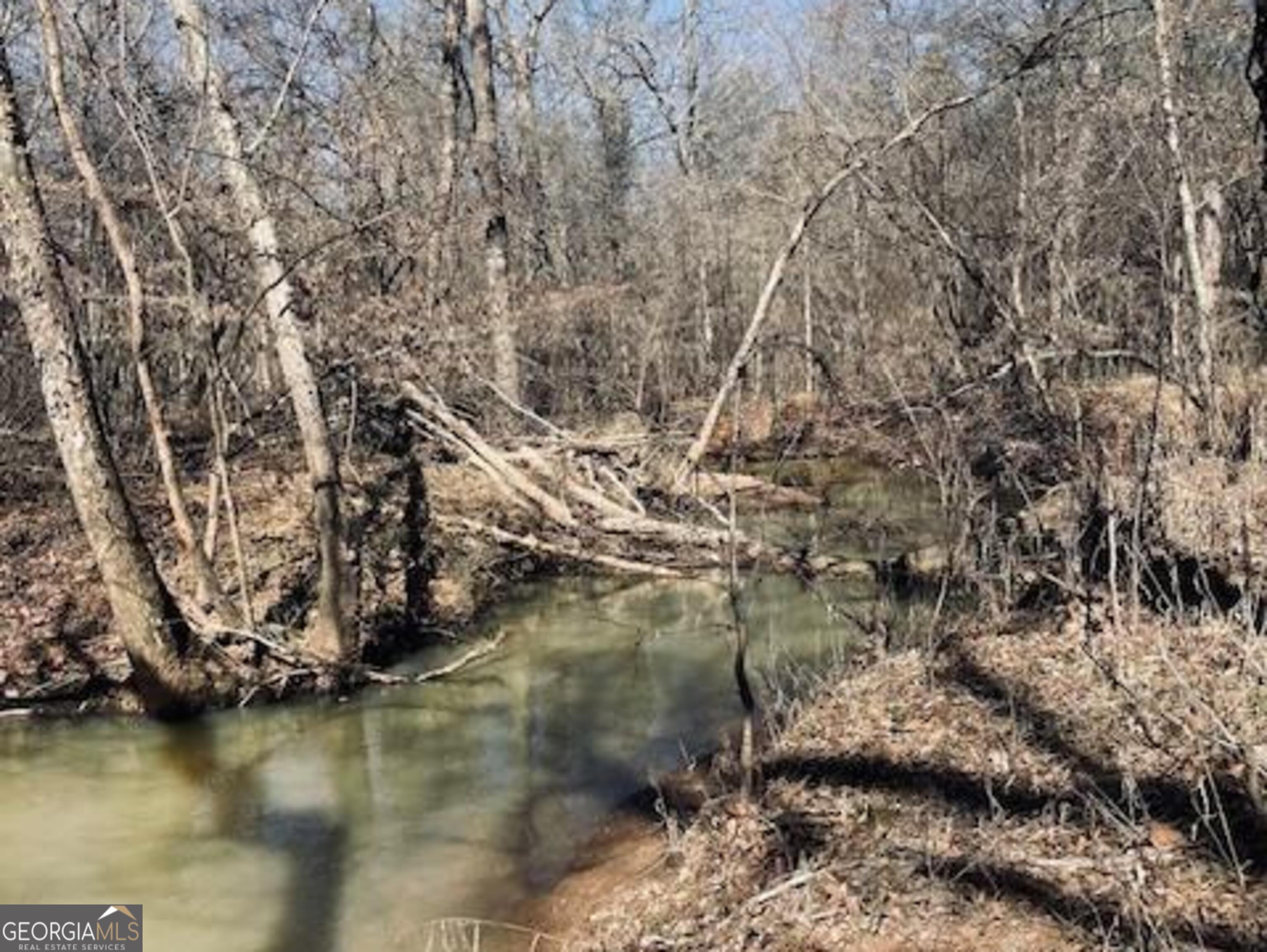 3312 Hunts Chapel Road Sparta, GA 31087 - Photo 25 of 147