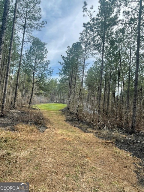 3312 Hunts Chapel Road Sparta, GA 31087 - Photo 27 of 147