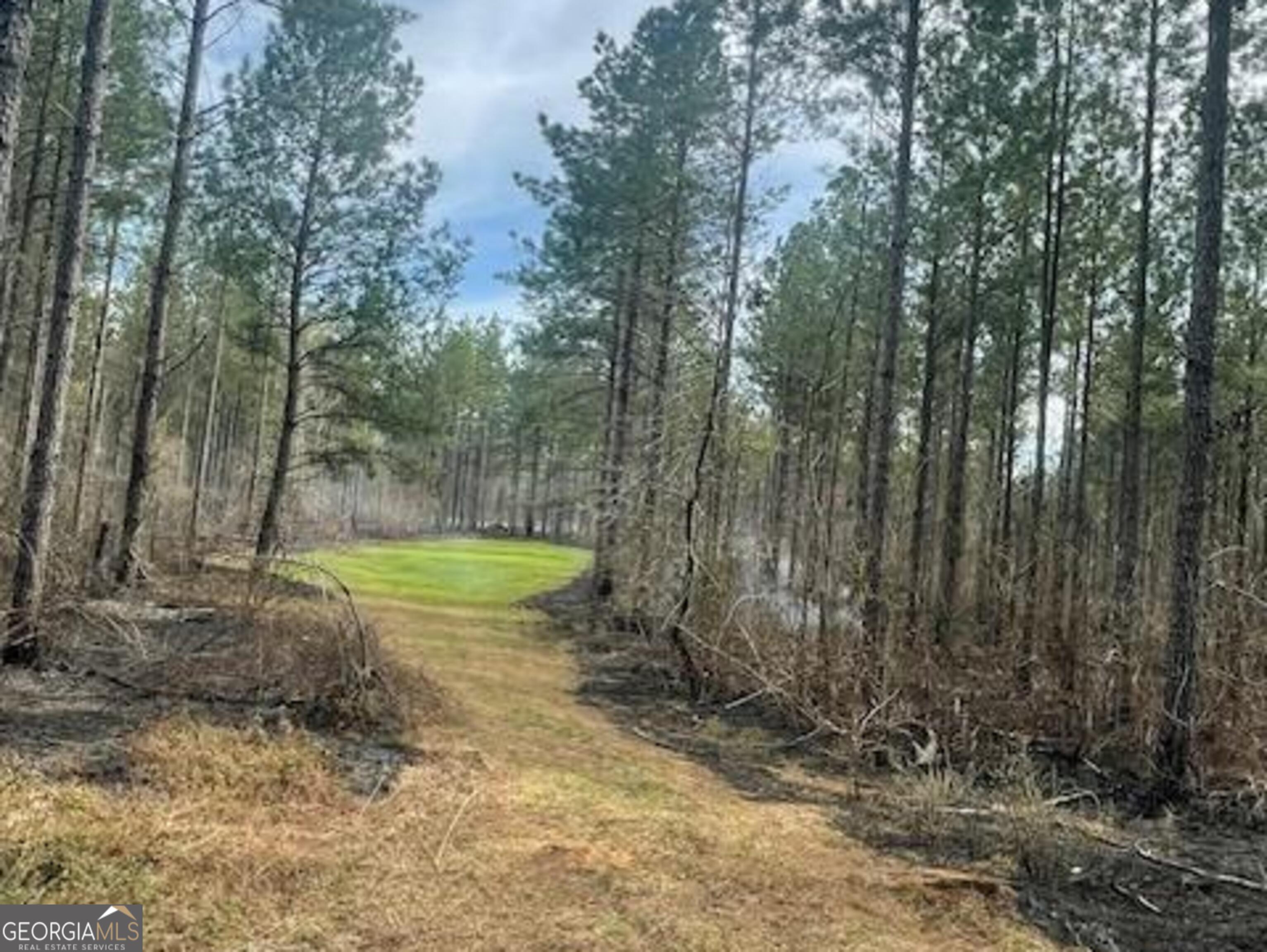 3312 Hunts Chapel Road Sparta, GA 31087 - Photo 28 of 147