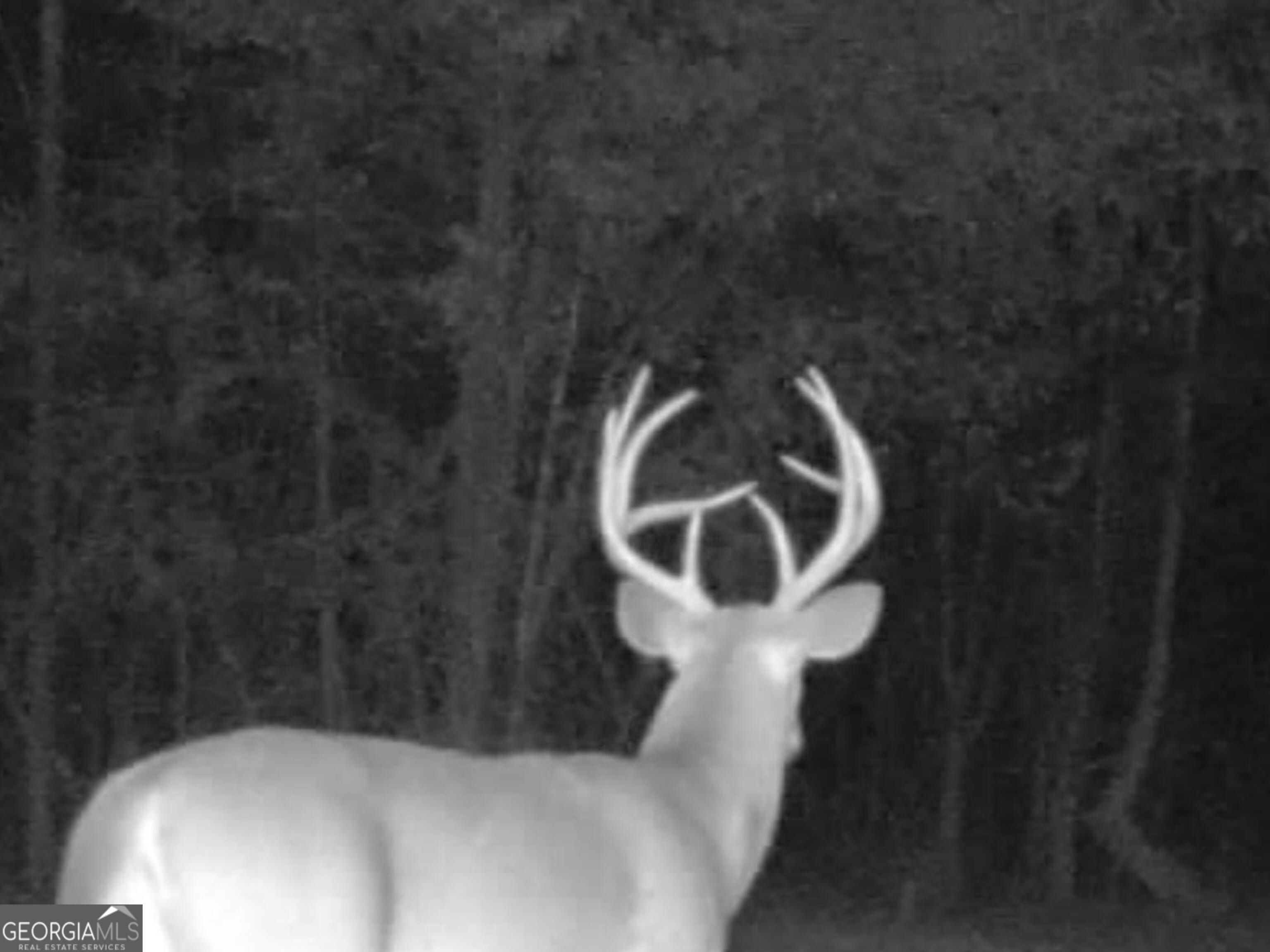 3312 Hunts Chapel Road Sparta, GA 31087 - Photo 29 of 147