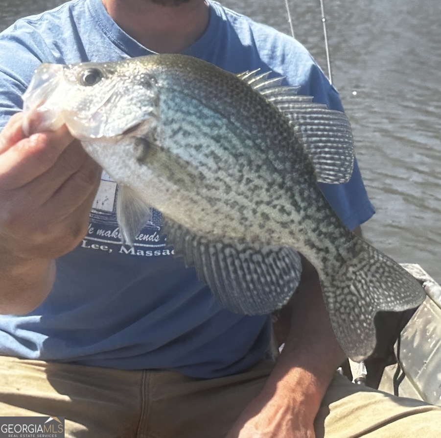 3312 Hunts Chapel Road Sparta, GA 31087 - Photo 30 of 147