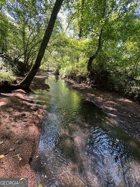 3312 Hunts Chapel Road Sparta, GA 31087 - Photo 3 of 147