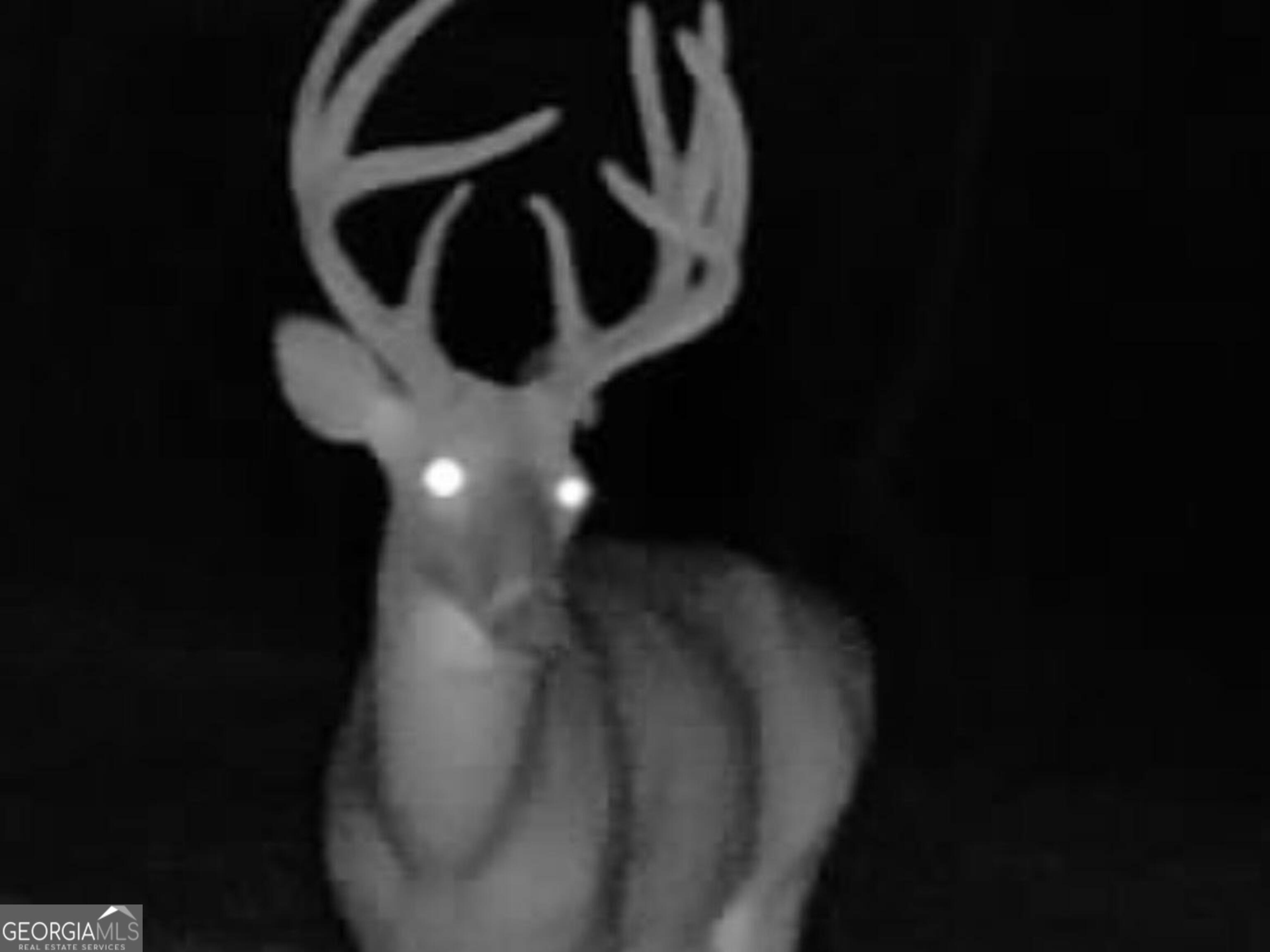 3312 Hunts Chapel Road Sparta, GA 31087 - Photo 31 of 147