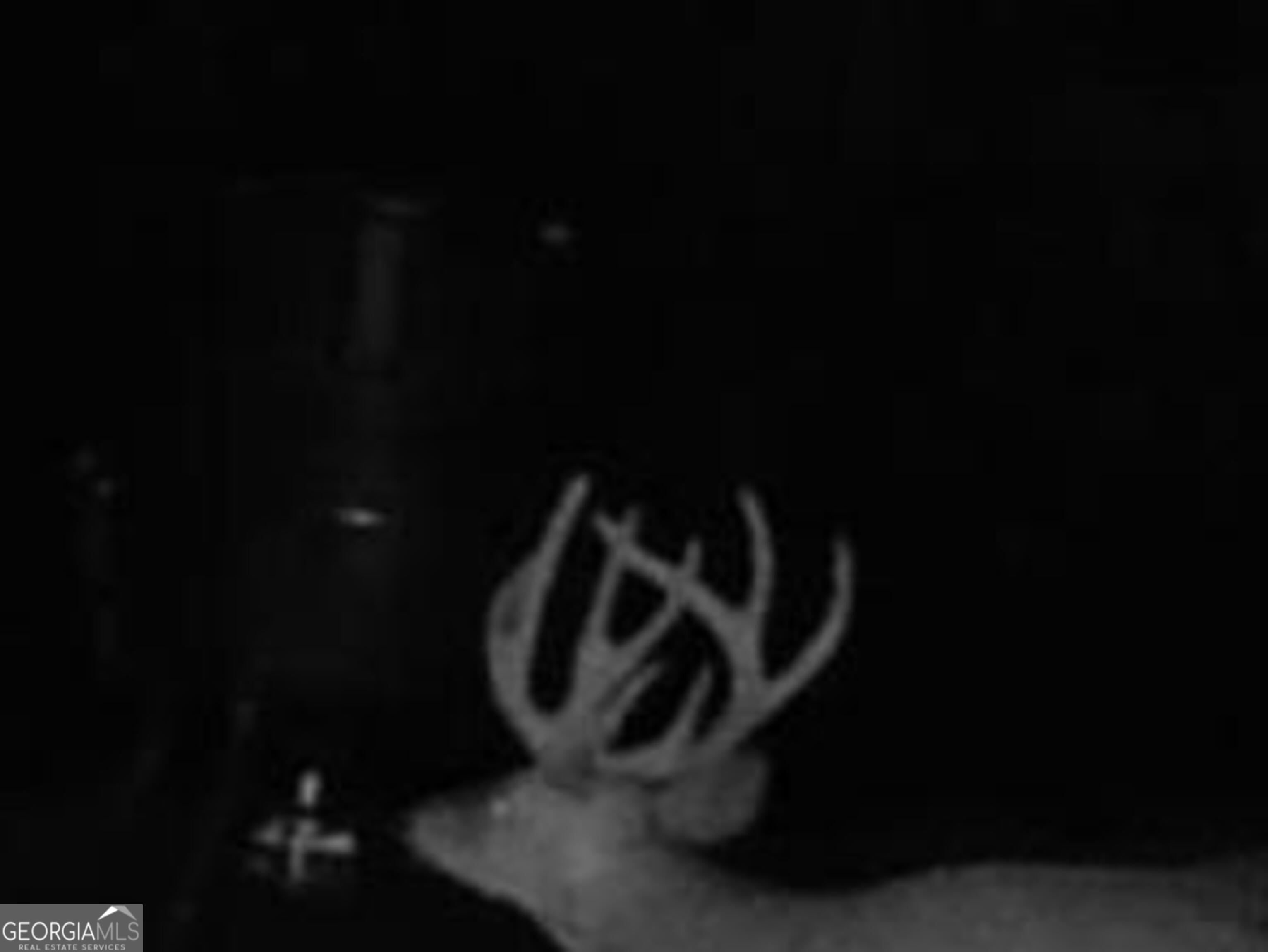 3312 Hunts Chapel Road Sparta, GA 31087 - Photo 32 of 147