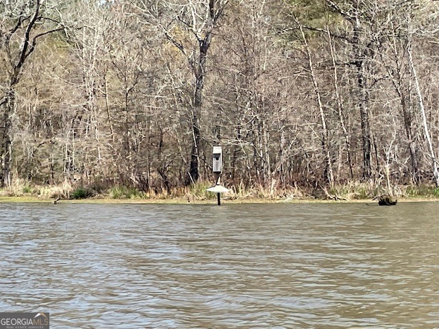 3312 Hunts Chapel Road Sparta, GA 31087 - Photo 33 of 147