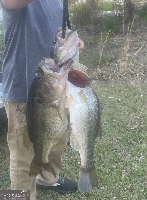 3312 Hunts Chapel Road Sparta, GA 31087 - Photo 34 of 147