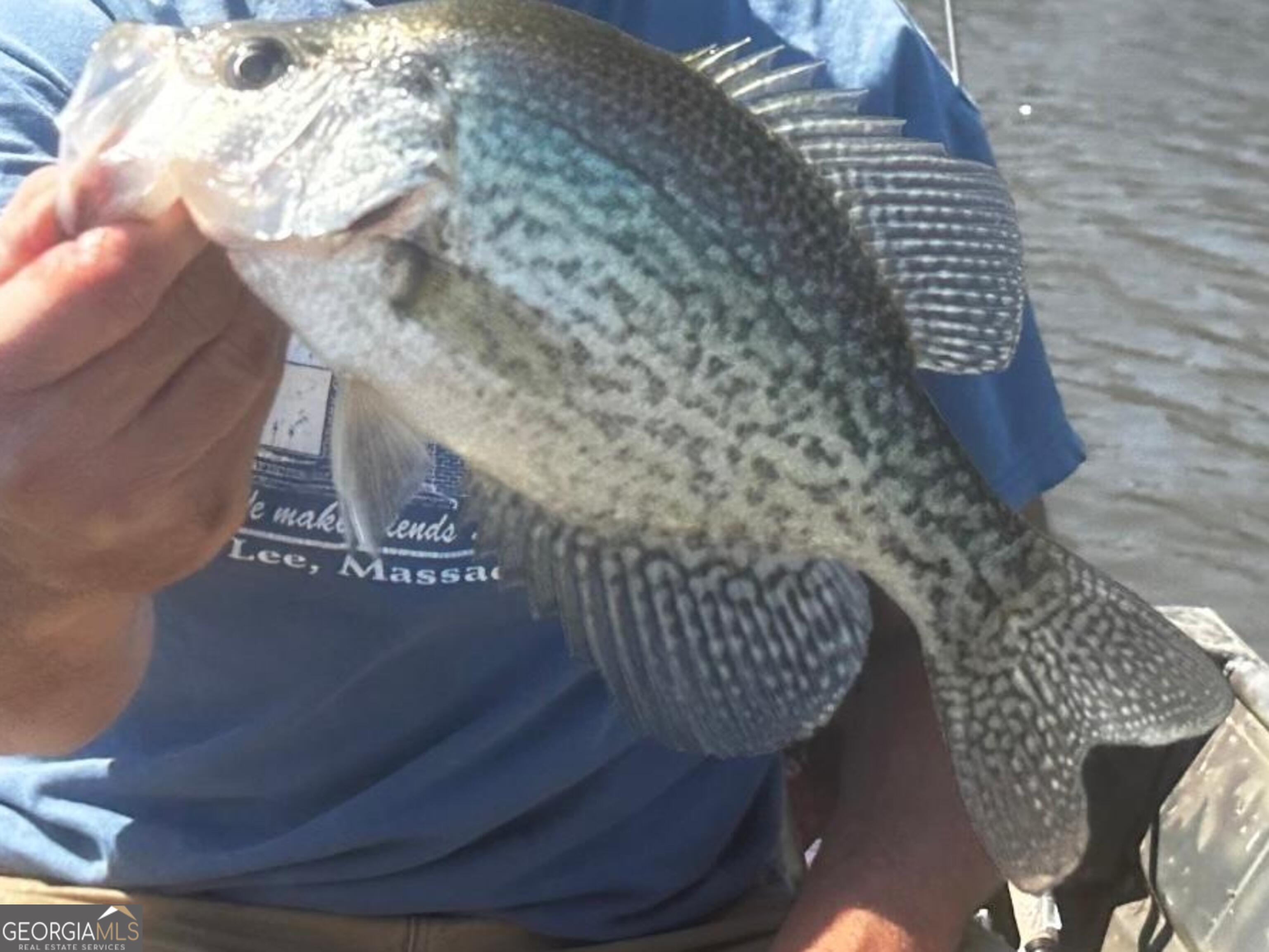 3312 Hunts Chapel Road Sparta, GA 31087 - Photo 35 of 147