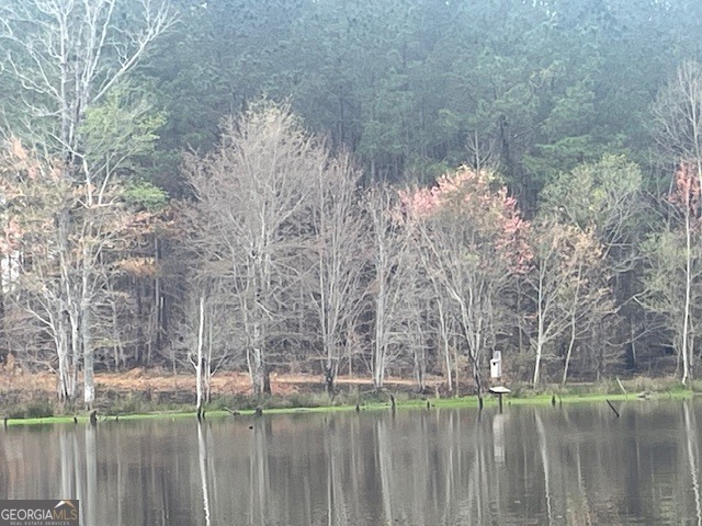 3312 Hunts Chapel Road Sparta, GA 31087 - Photo 36 of 147