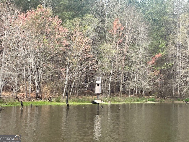 3312 Hunts Chapel Road Sparta, GA 31087 - Photo 37 of 147