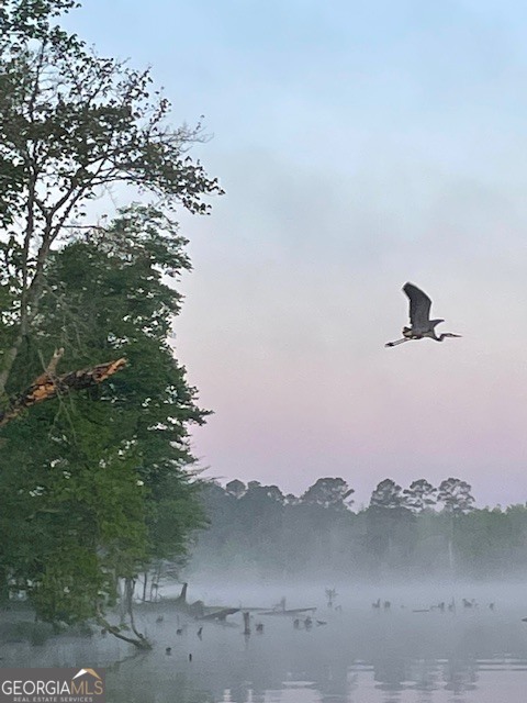 3312 Hunts Chapel Road Sparta, GA 31087 - Photo 38 of 147