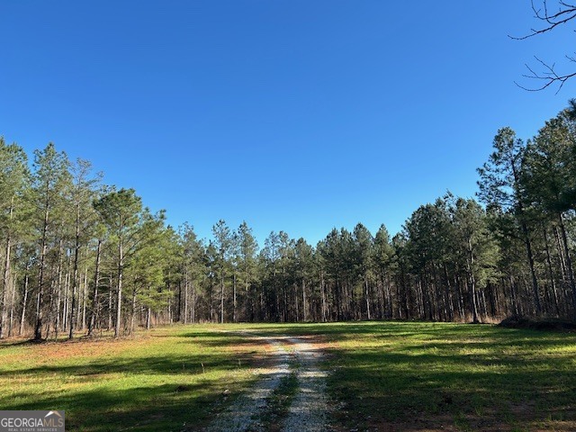 3312 Hunts Chapel Road Sparta, GA 31087 - Photo 40 of 147