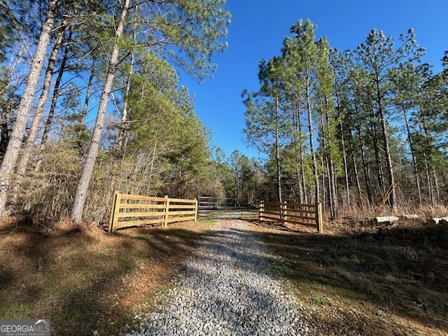 3312 Hunts Chapel Road Sparta, GA 31087 - Photo 41 of 147