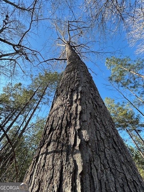 3312 Hunts Chapel Road Sparta, GA 31087 - Photo 43 of 147