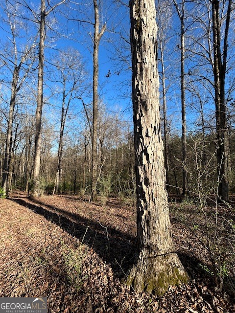 3312 Hunts Chapel Road Sparta, GA 31087 - Photo 44 of 147