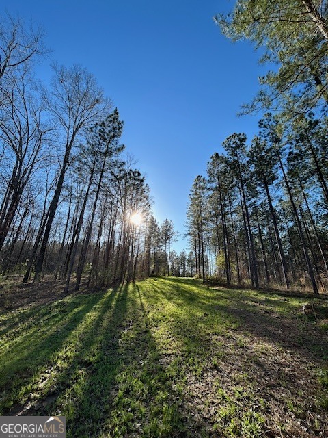 3312 Hunts Chapel Road Sparta, GA 31087 - Photo 45 of 147