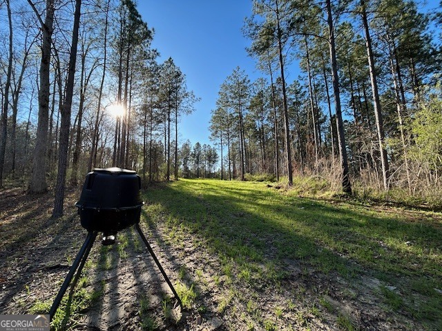 3312 Hunts Chapel Road Sparta, GA 31087 - Photo 46 of 147