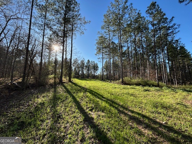 3312 Hunts Chapel Road Sparta, GA 31087 - Photo 47 of 147