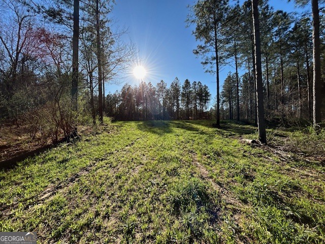 3312 Hunts Chapel Road Sparta, GA 31087 - Photo 48 of 147