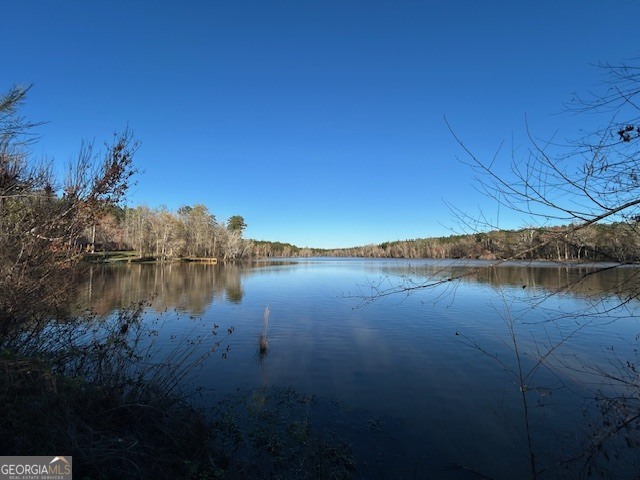 3312 Hunts Chapel Road Sparta, GA 31087 - Photo 49 of 147