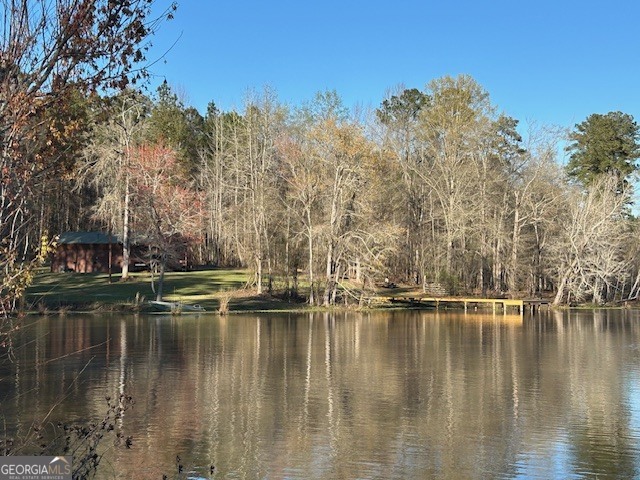 3312 Hunts Chapel Road Sparta, GA 31087 - Photo 50 of 147