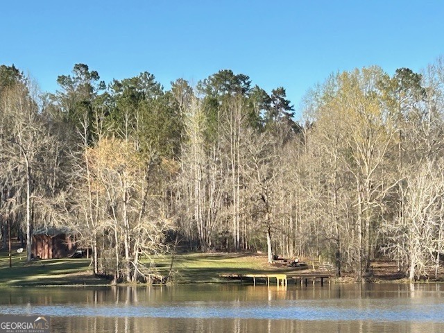 3312 Hunts Chapel Road Sparta, GA 31087 - Photo 51 of 147