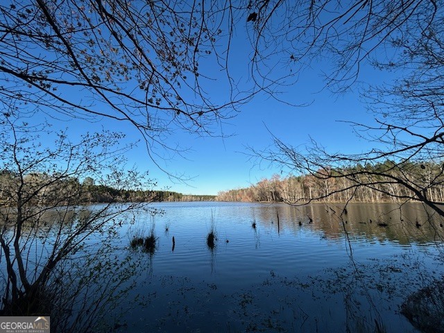 3312 Hunts Chapel Road Sparta, GA 31087 - Photo 52 of 147