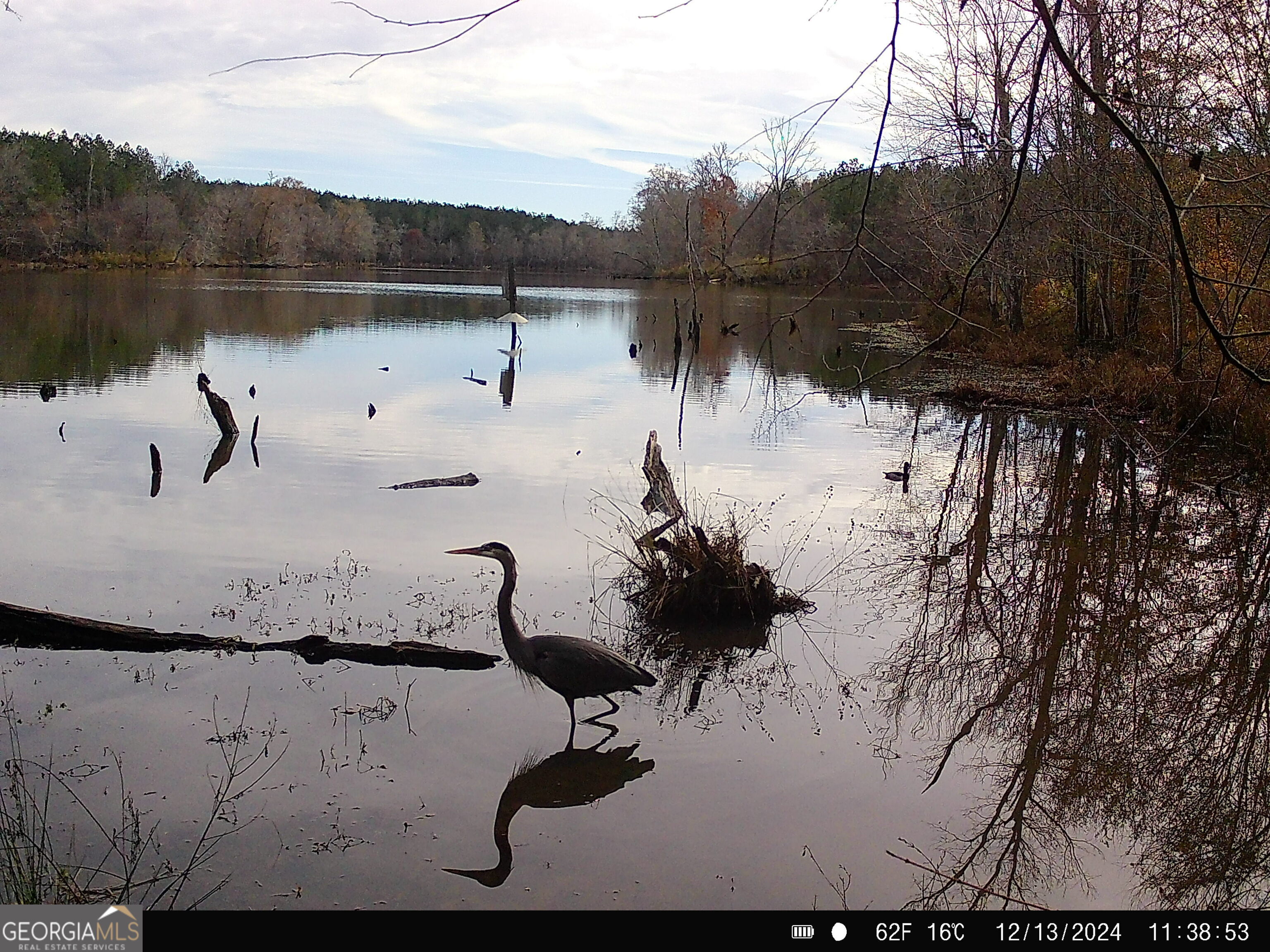 3312 Hunts Chapel Road Sparta, GA 31087 - Photo 56 of 147