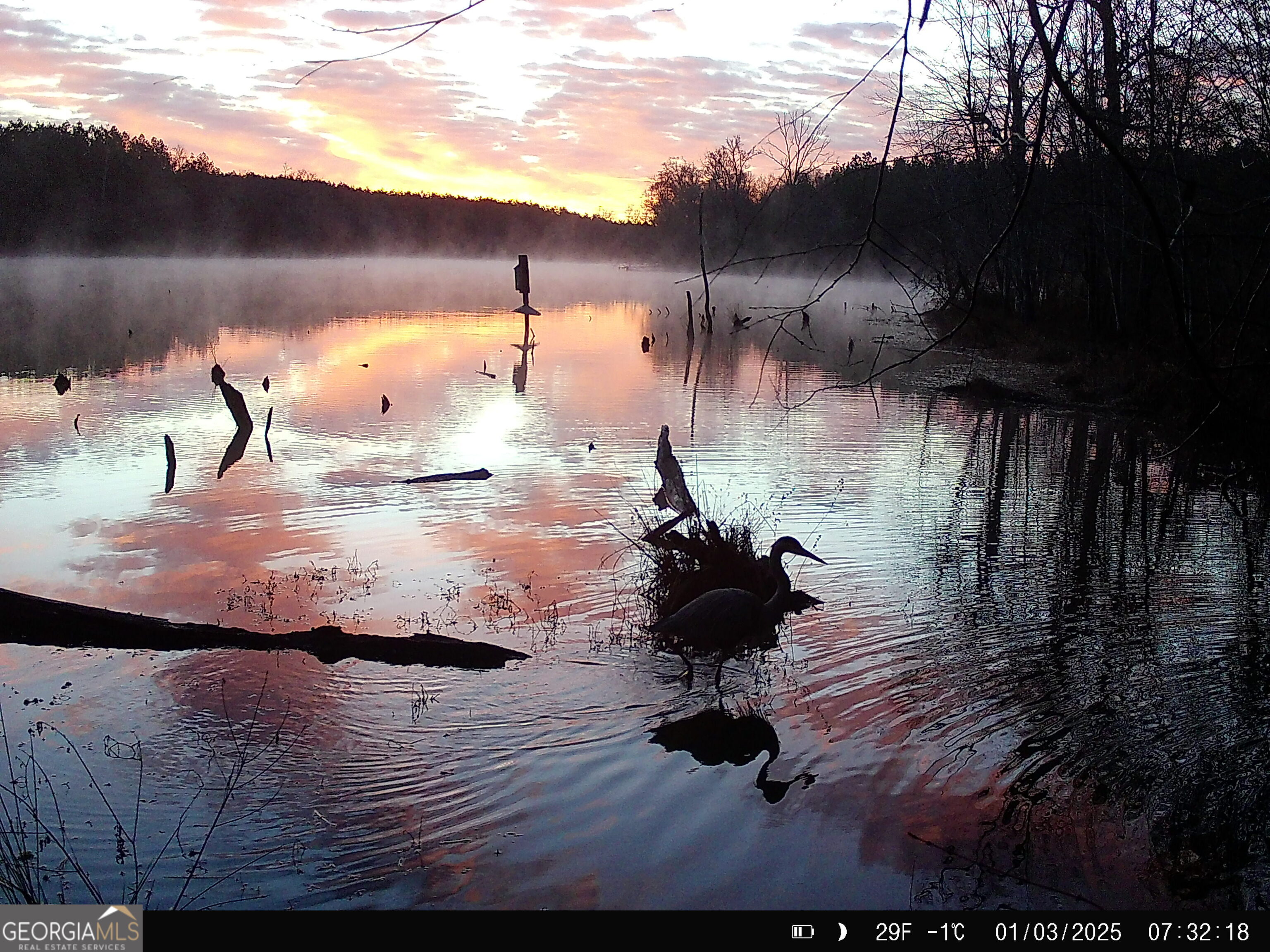 3312 Hunts Chapel Road Sparta, GA 31087 - Photo 57 of 147