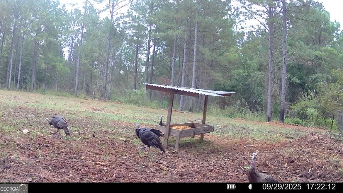 3312 Hunts Chapel Road Sparta, GA 31087 - Photo 60 of 147