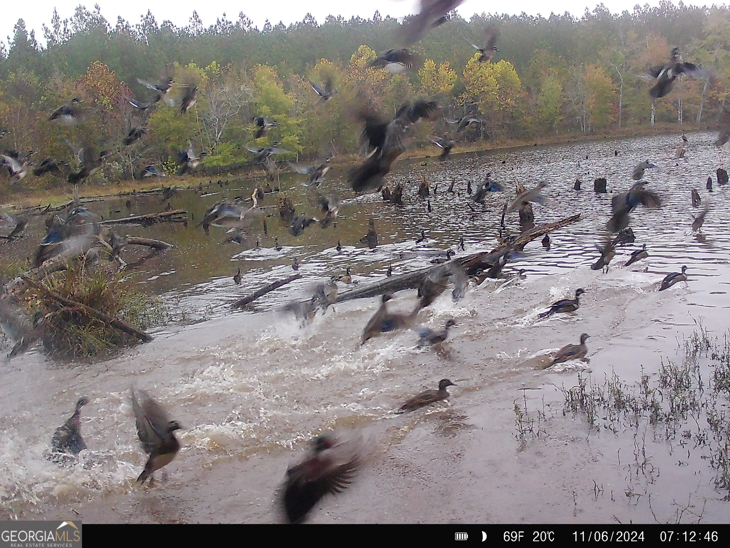 3312 Hunts Chapel Road Sparta, GA 31087 - Photo 6 of 147