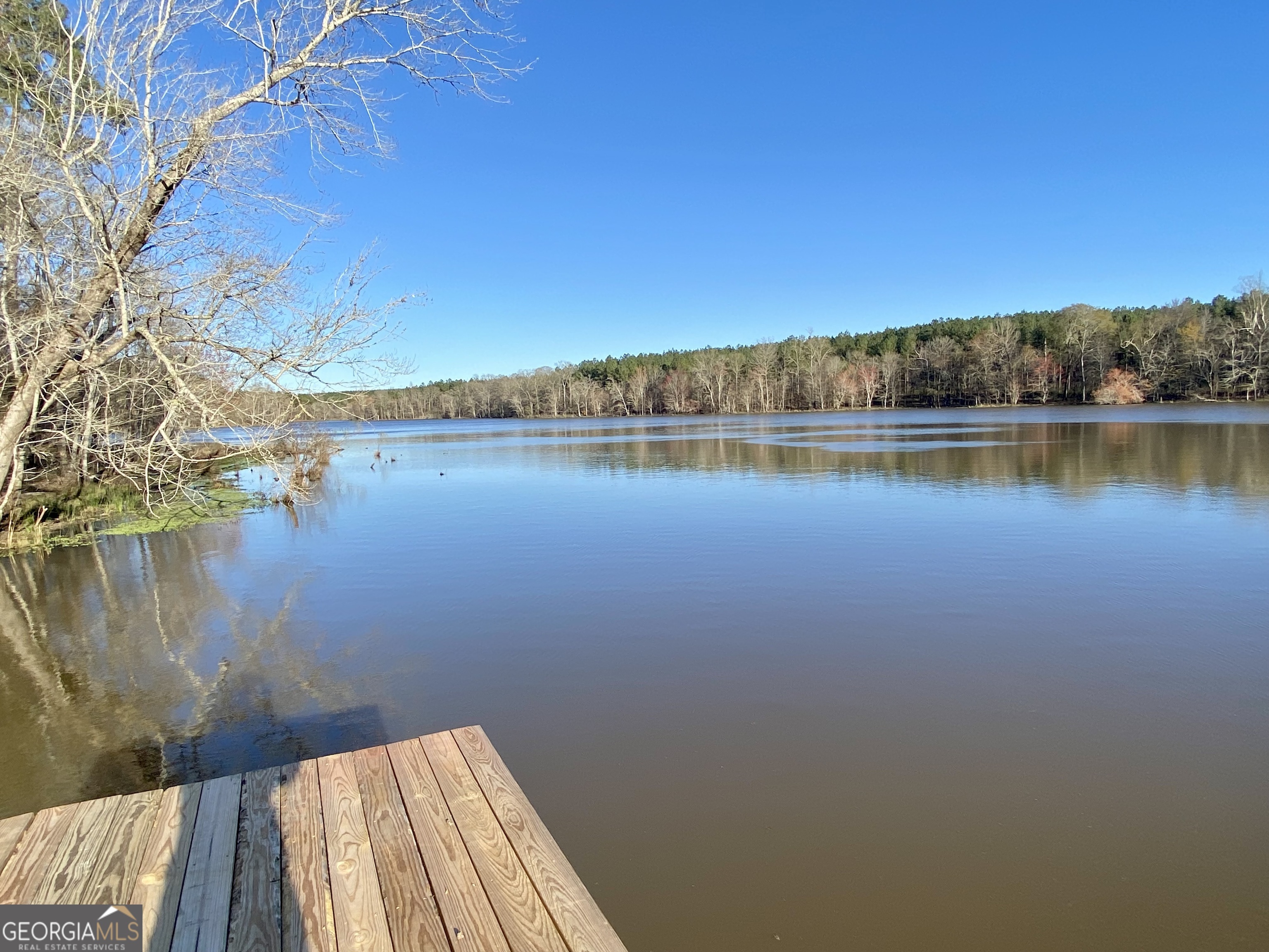 3312 Hunts Chapel Road Sparta, GA 31087 - Photo 63 of 147