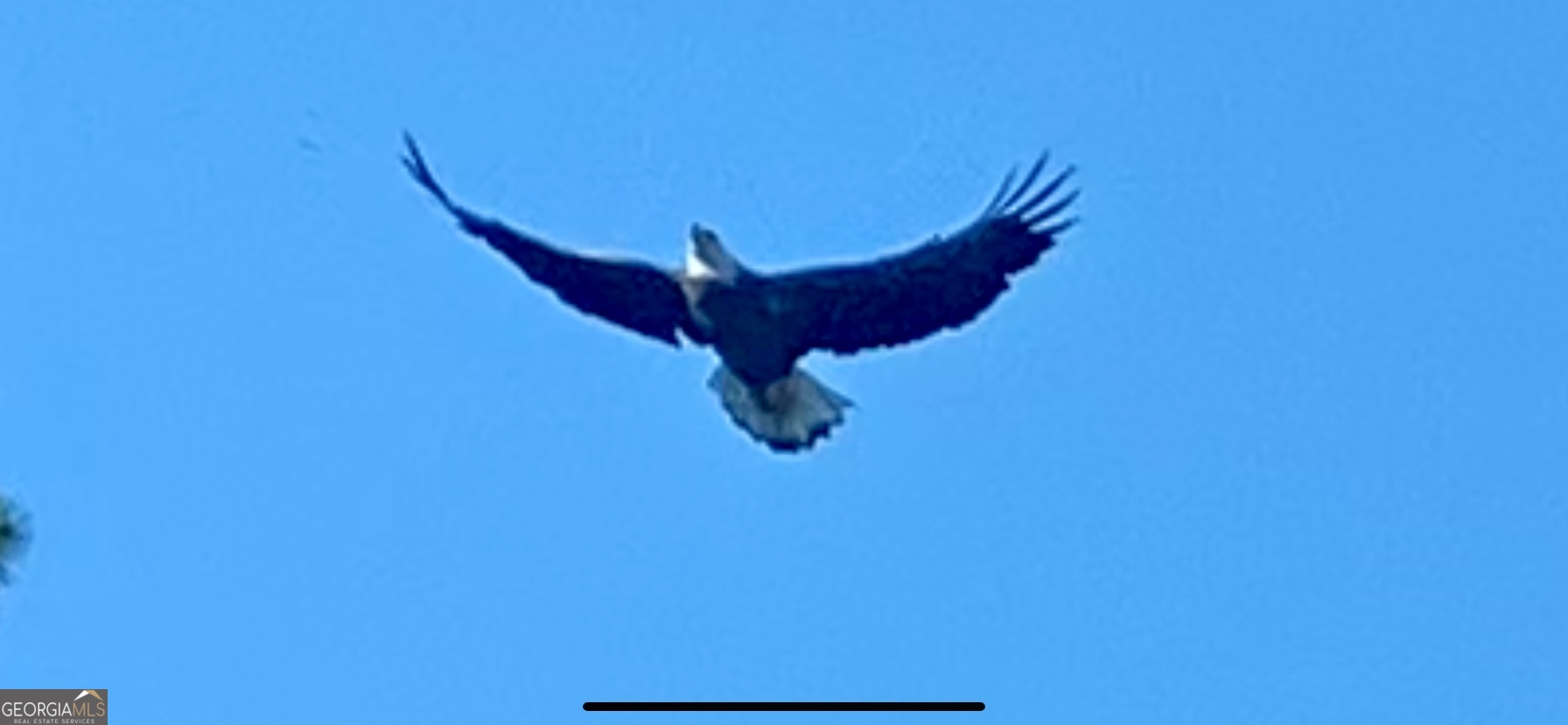 3312 Hunts Chapel Road Sparta, GA 31087 - Photo 81 of 147