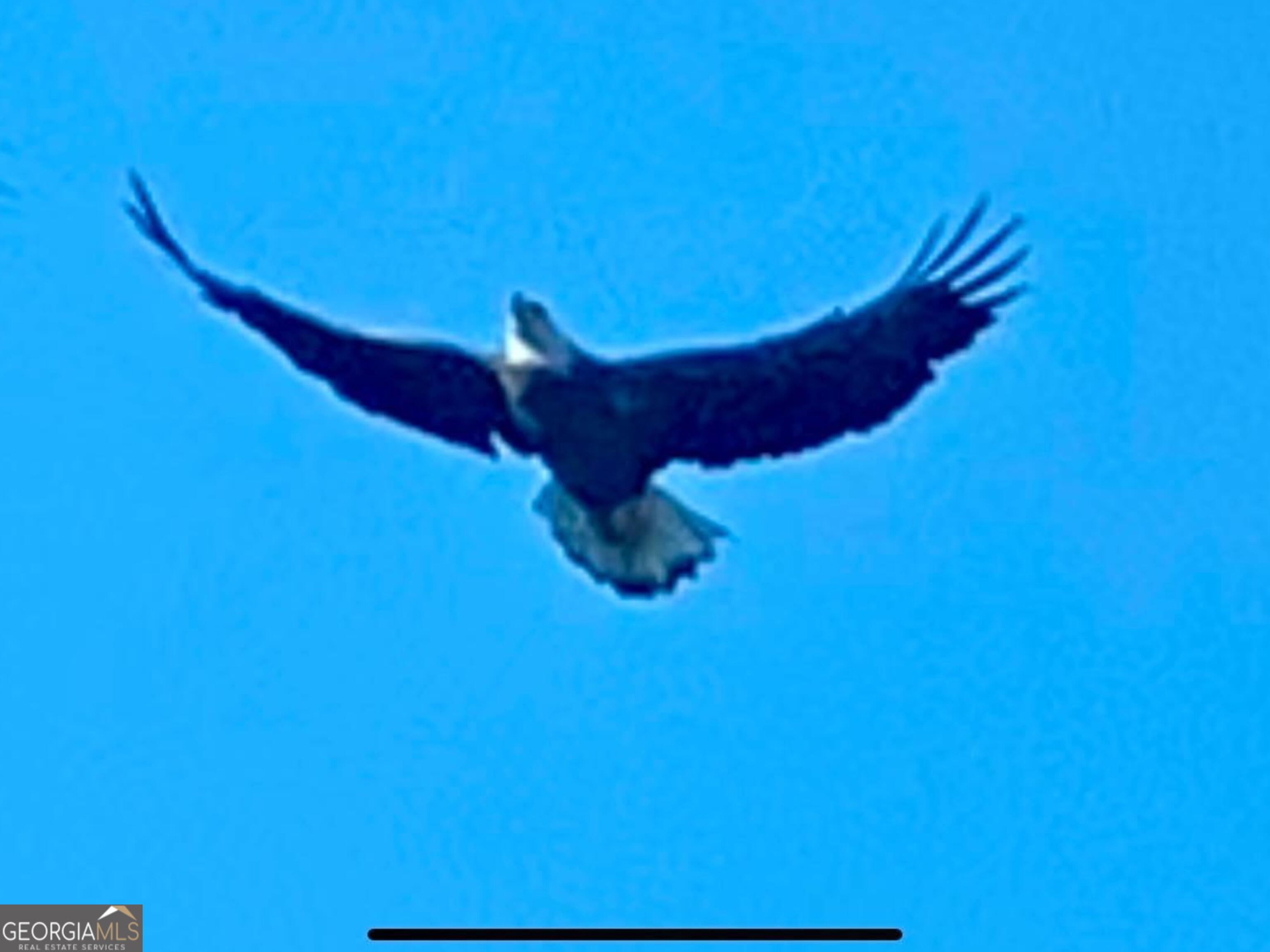 3312 Hunts Chapel Road Sparta, GA 31087 - Photo 85 of 147