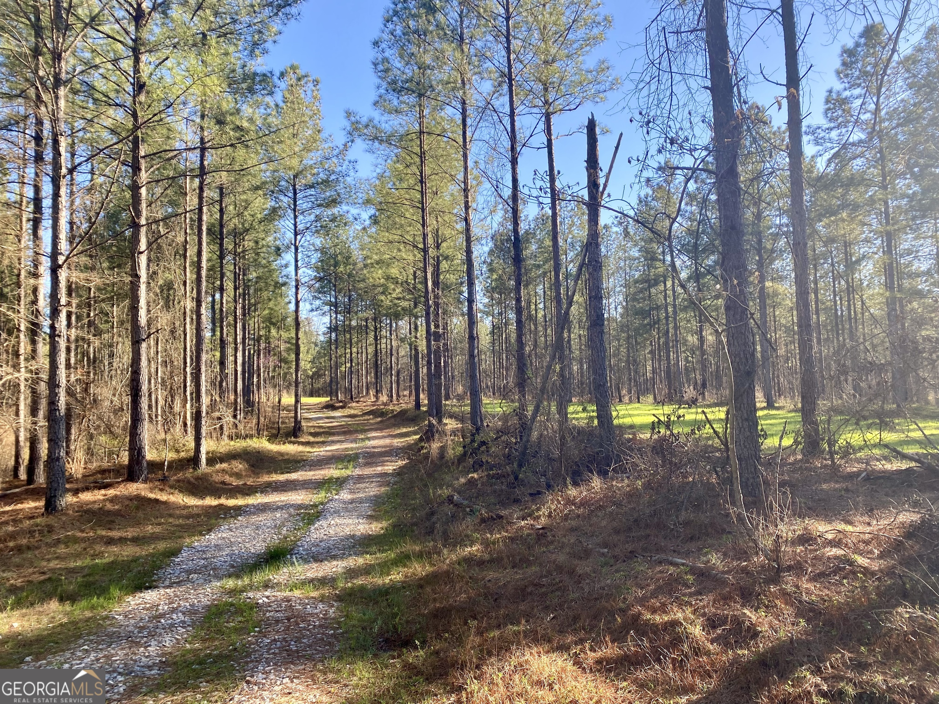 3312 Hunts Chapel Road Sparta, GA 31087 - Photo 86 of 147