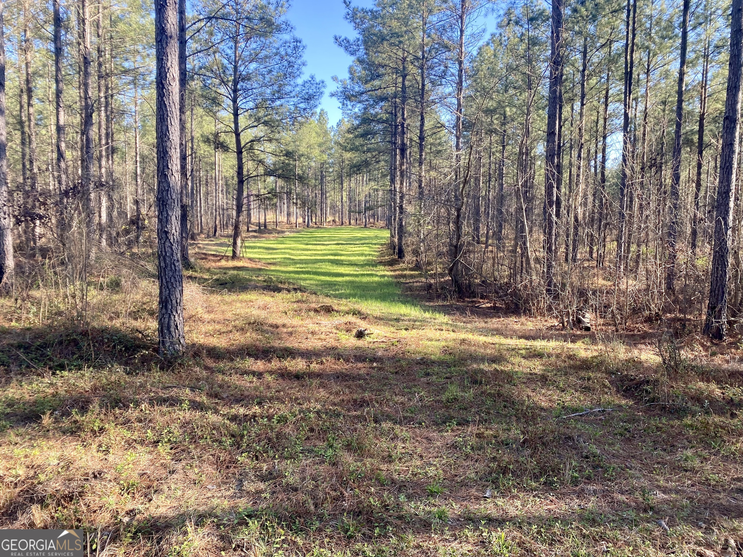 3312 Hunts Chapel Road Sparta, GA 31087 - Photo 90 of 147