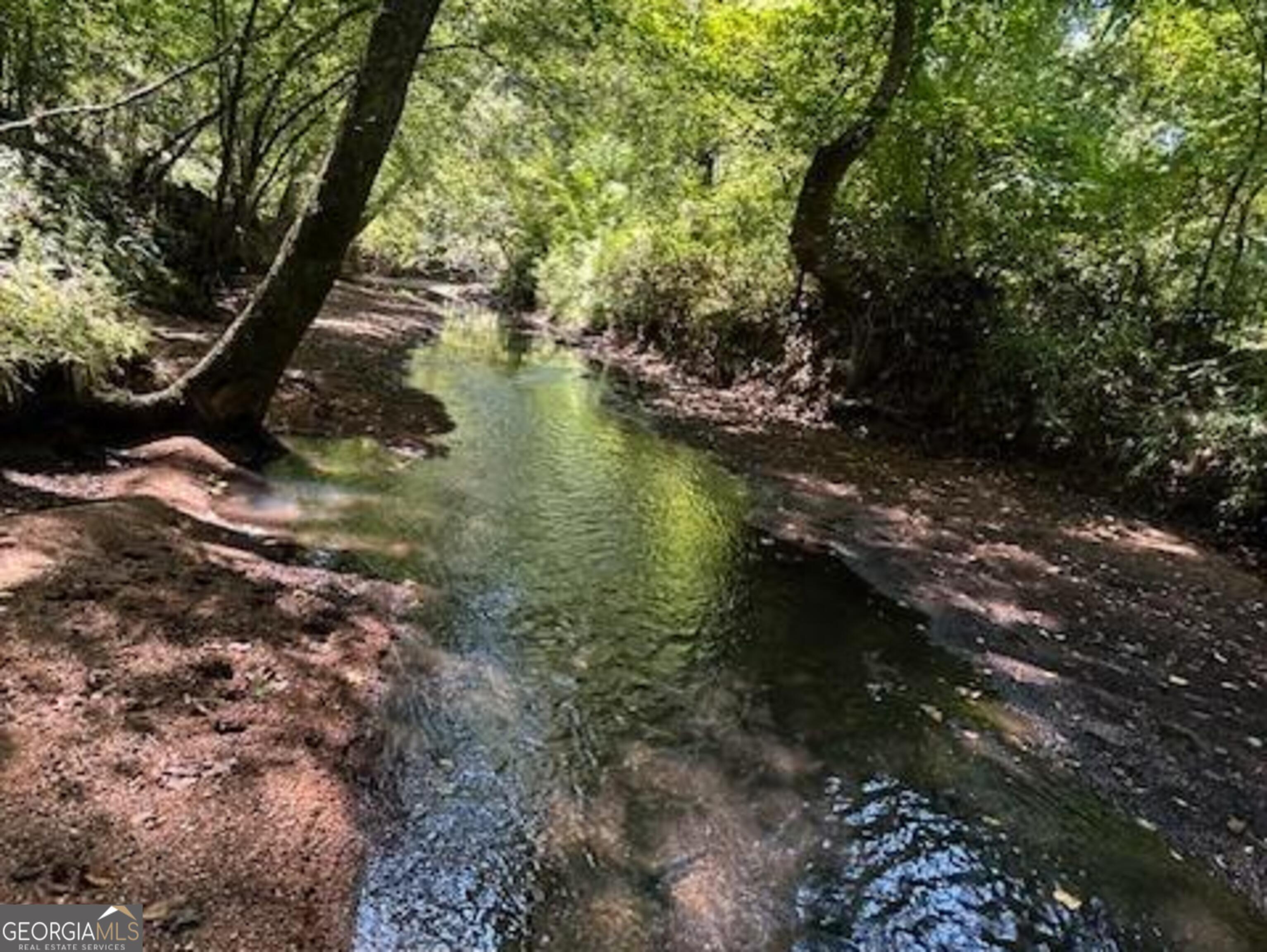 3312 Hunts Chapel Road Sparta, GA 31087 - Photo 9 of 147