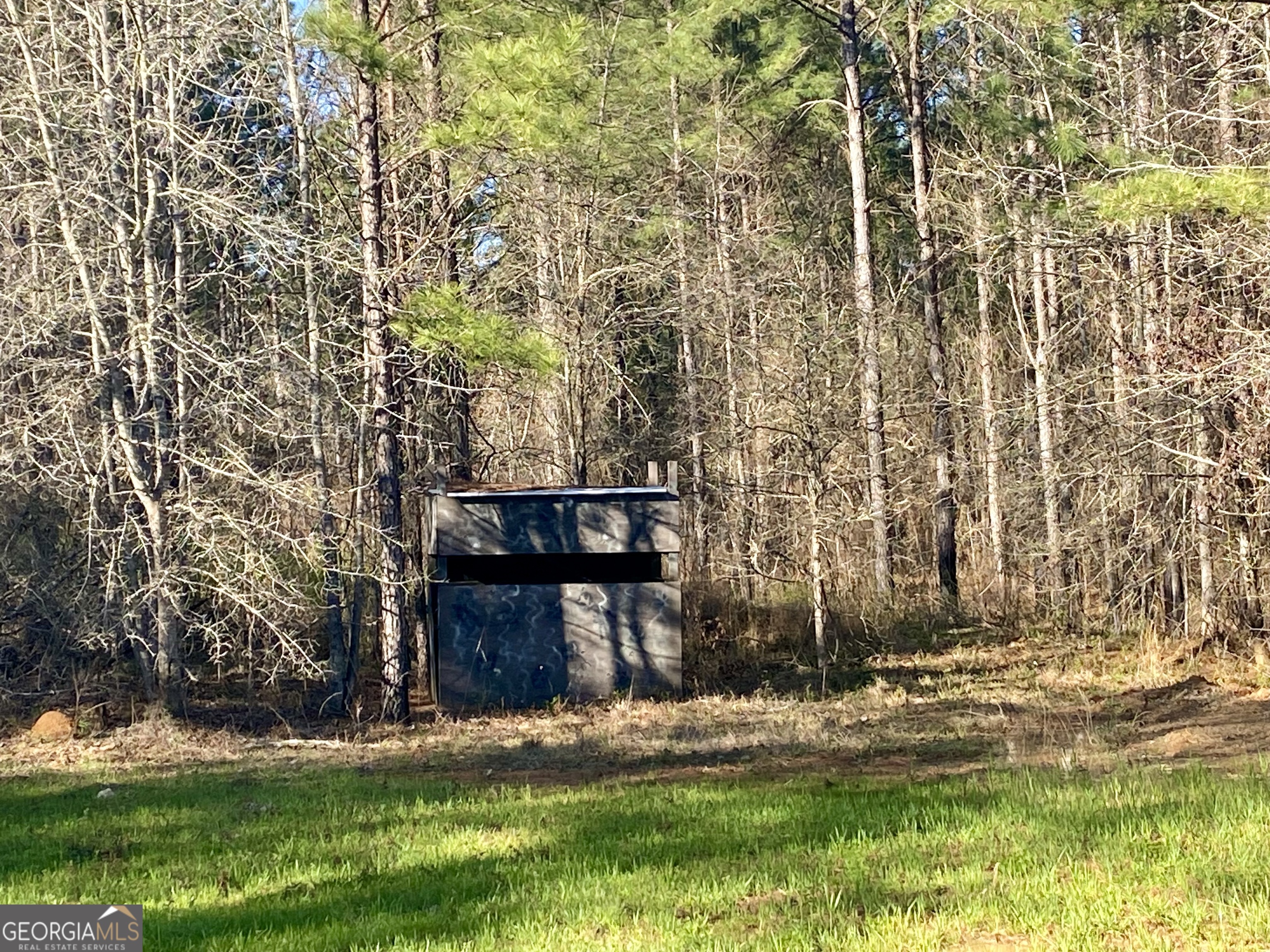 3312 Hunts Chapel Road Sparta, GA 31087 - Photo 94 of 147