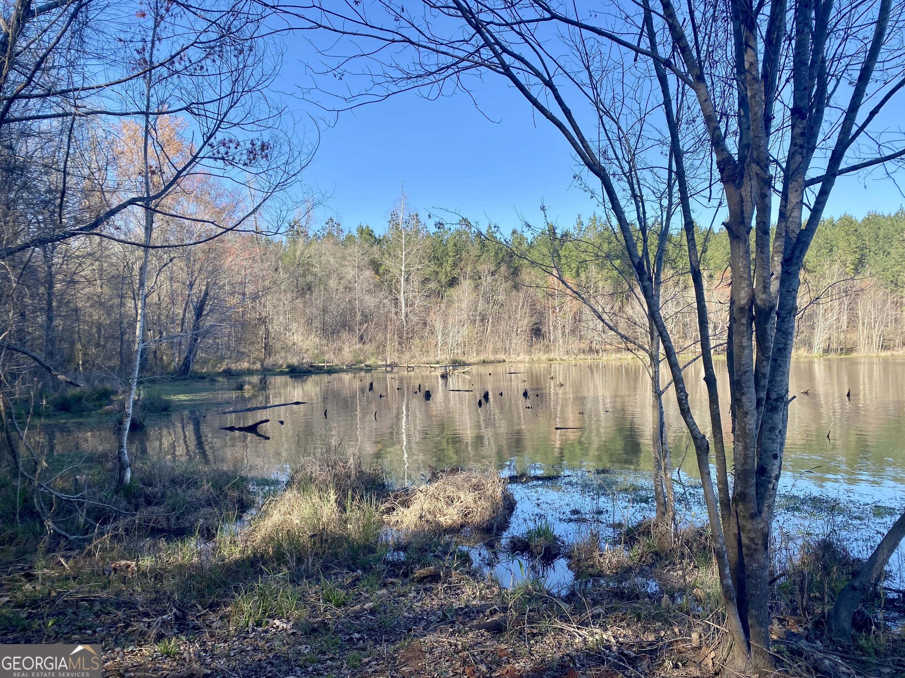 3312 Hunts Chapel Road Sparta, GA 31087 - Photo 96 of 147