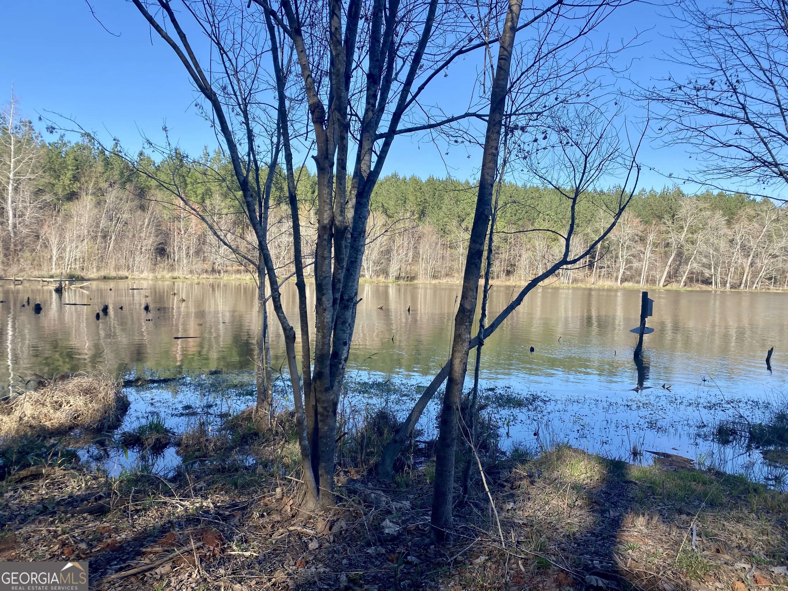 3312 Hunts Chapel Road Sparta, GA 31087 - Photo 97 of 147