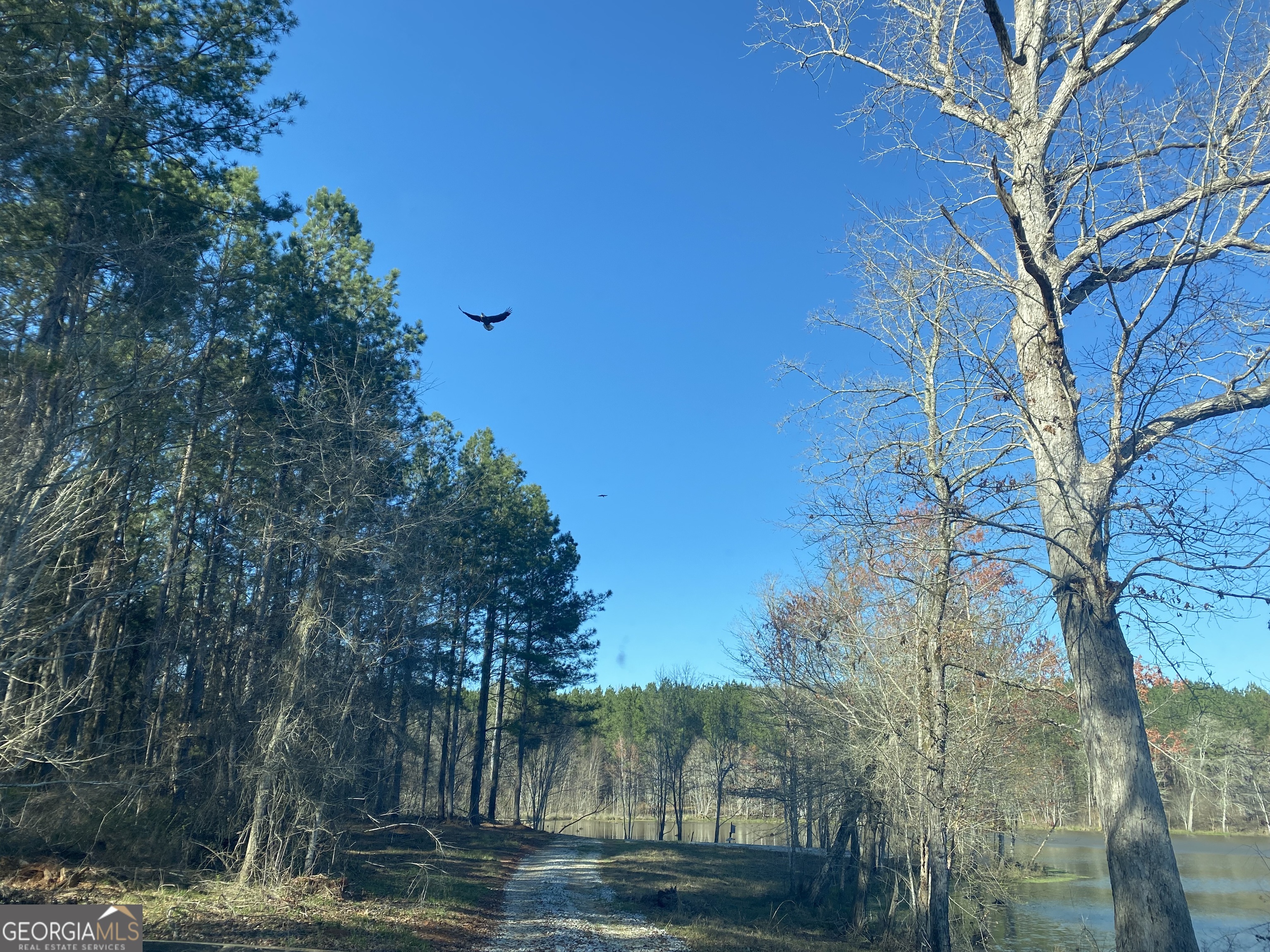 3312 Hunts Chapel Road Sparta, GA 31087 - Photo 99 of 147