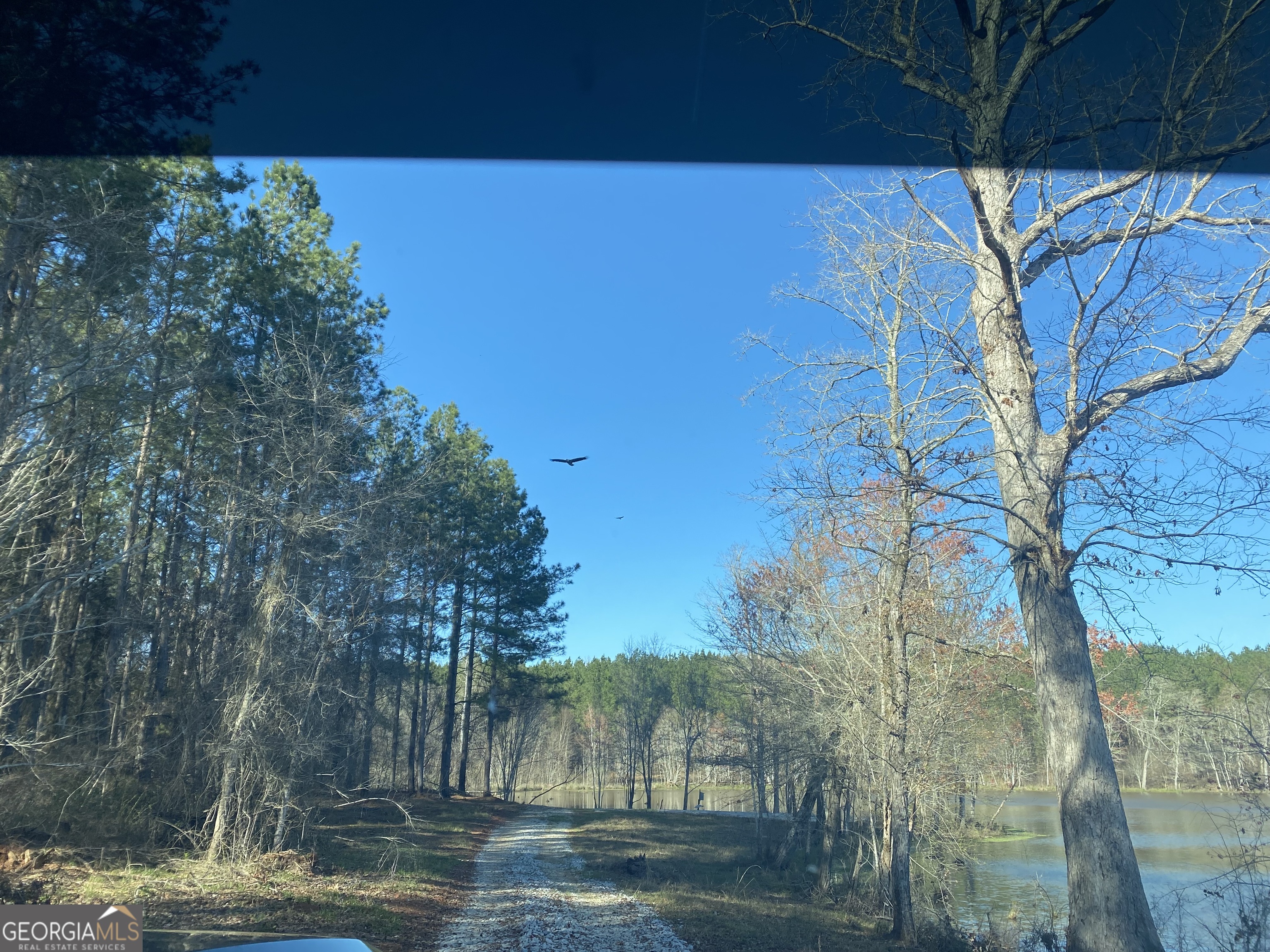 3312 Hunts Chapel Road Sparta, GA 31087 - Photo 100 of 147