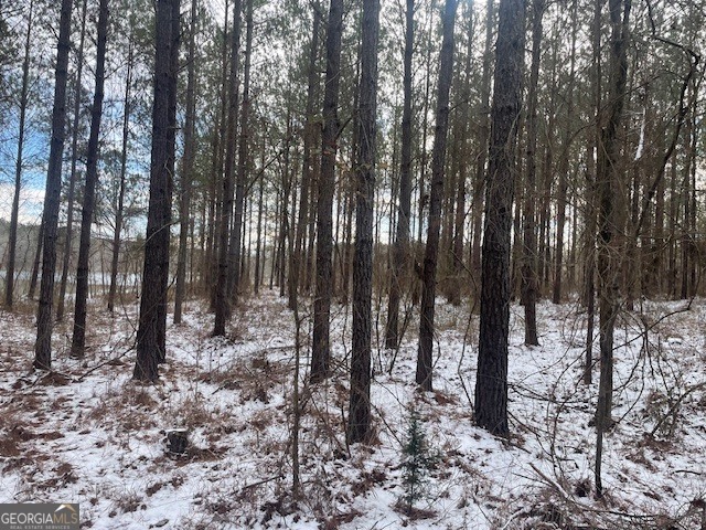 3312 Hunts Chapel Road Sparta, GA 31087 - Photo 10 of 147