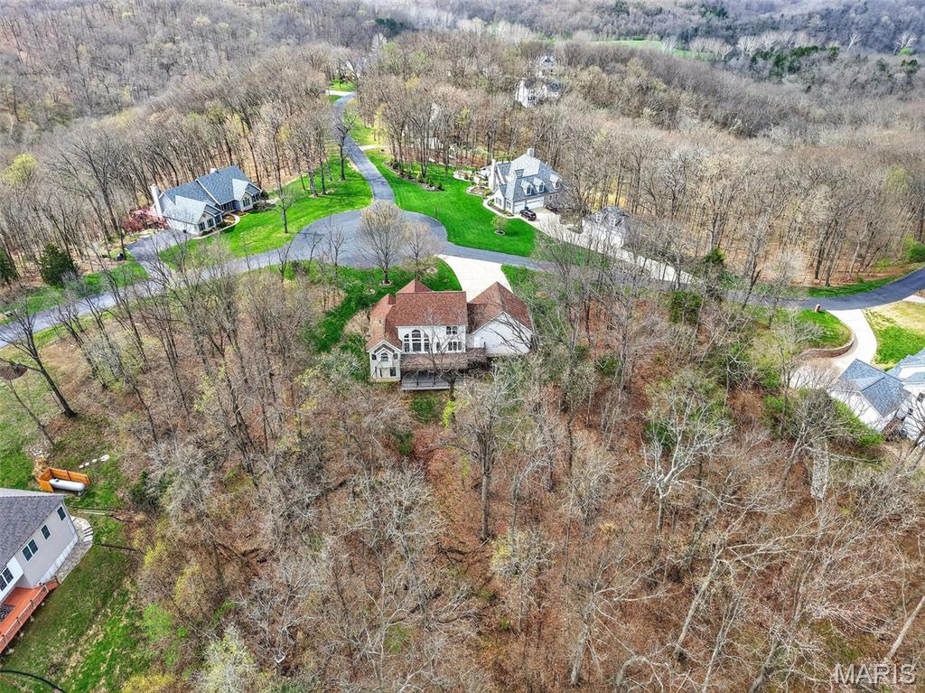 3848 Rooster Ridge Lane Defiance, MO 63341 - Photo 13 of 58