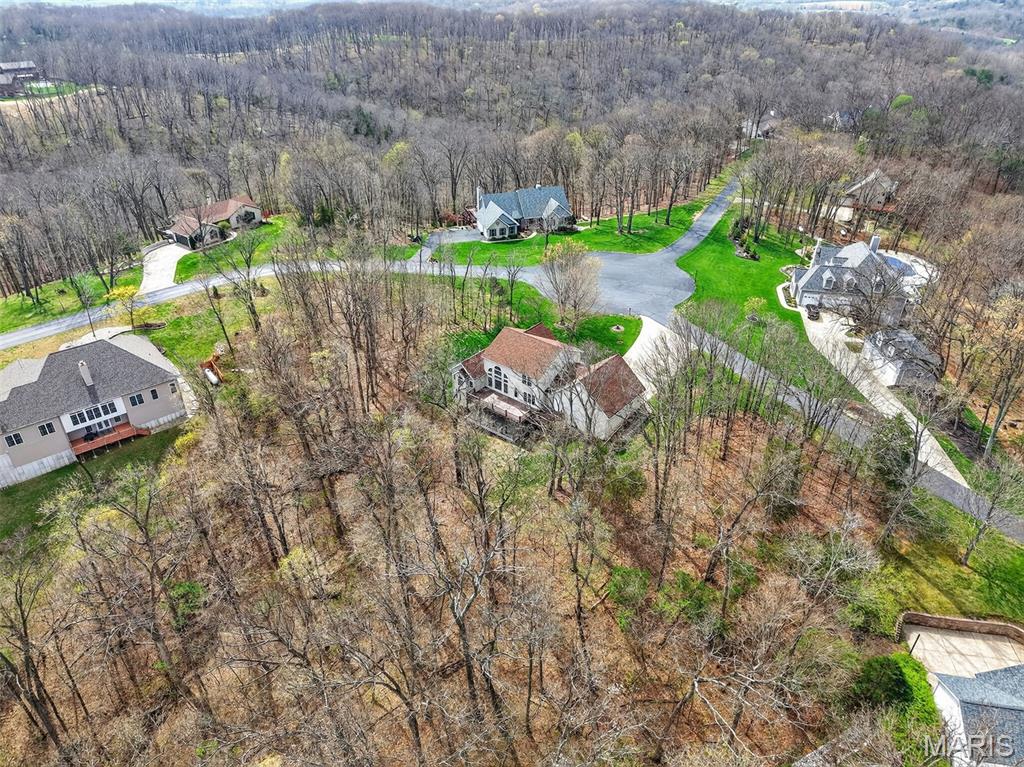 3848 Rooster Ridge Lane Defiance, MO 63341 - Photo 15 of 58