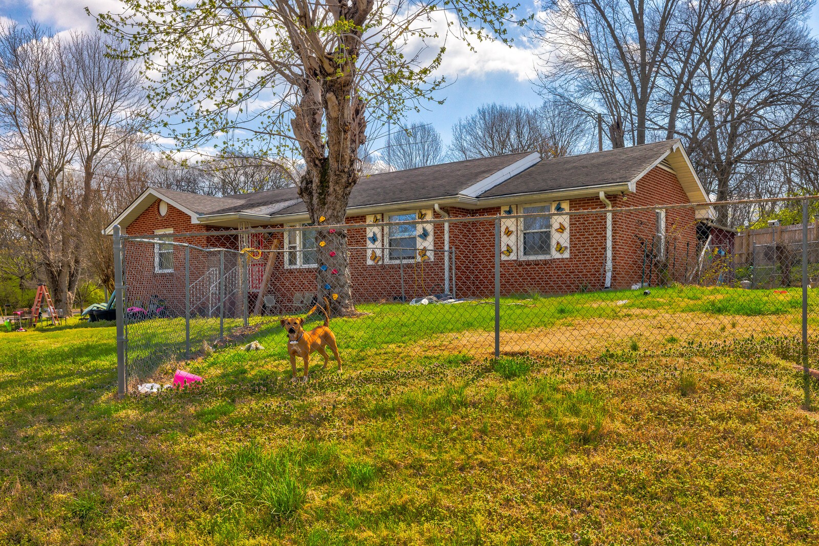 447 American Road Nashville, TN 37209 - Photo 4 of 8 Gallery Image 4
