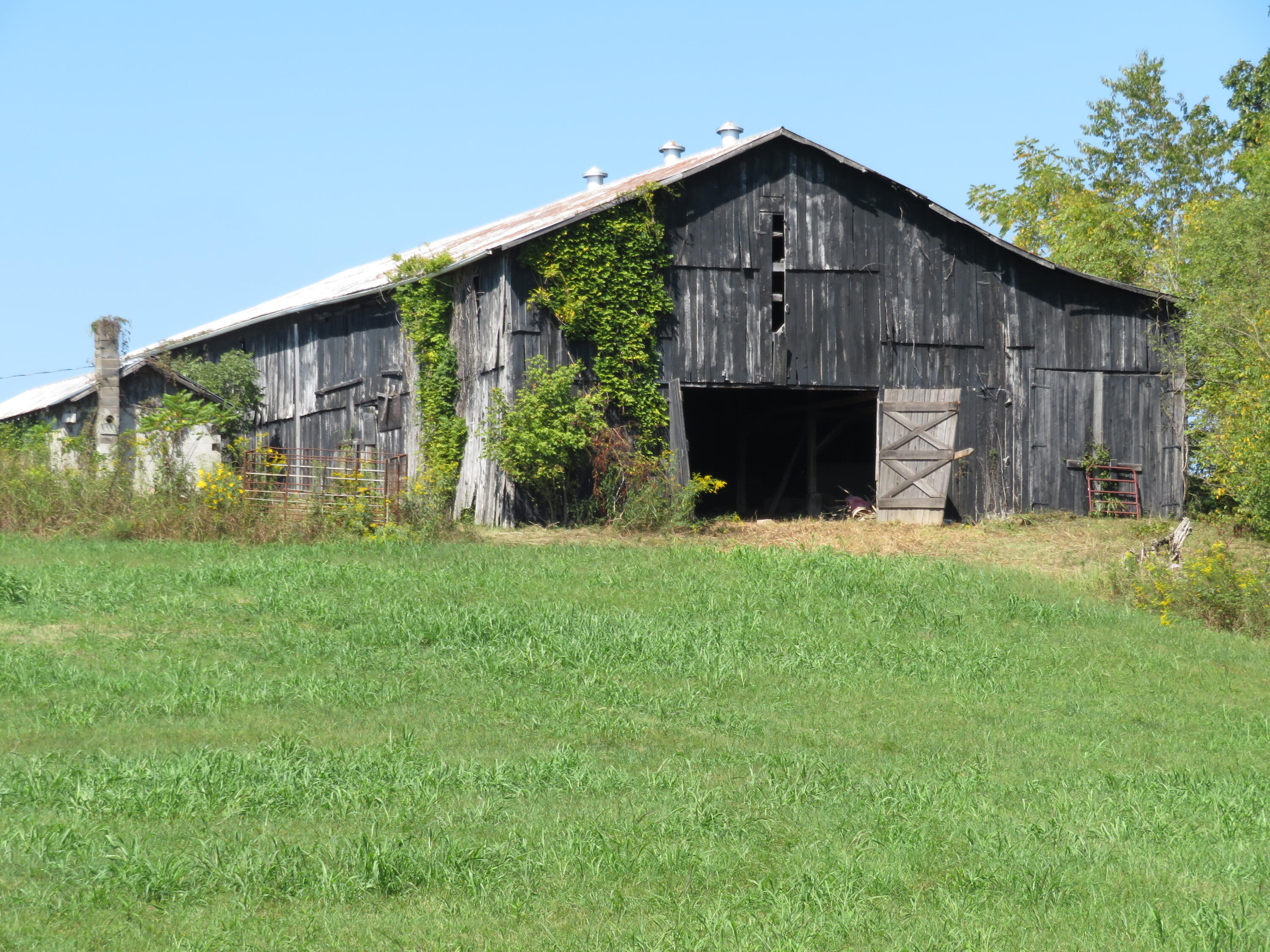 620 Lillies Ferry Road Winchester, KY 40391 - Photo 2 of 18 IMG_3023